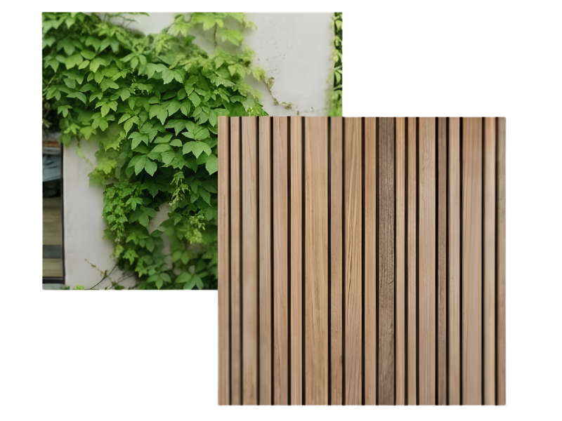 Projektansicht blackmeetsgreen